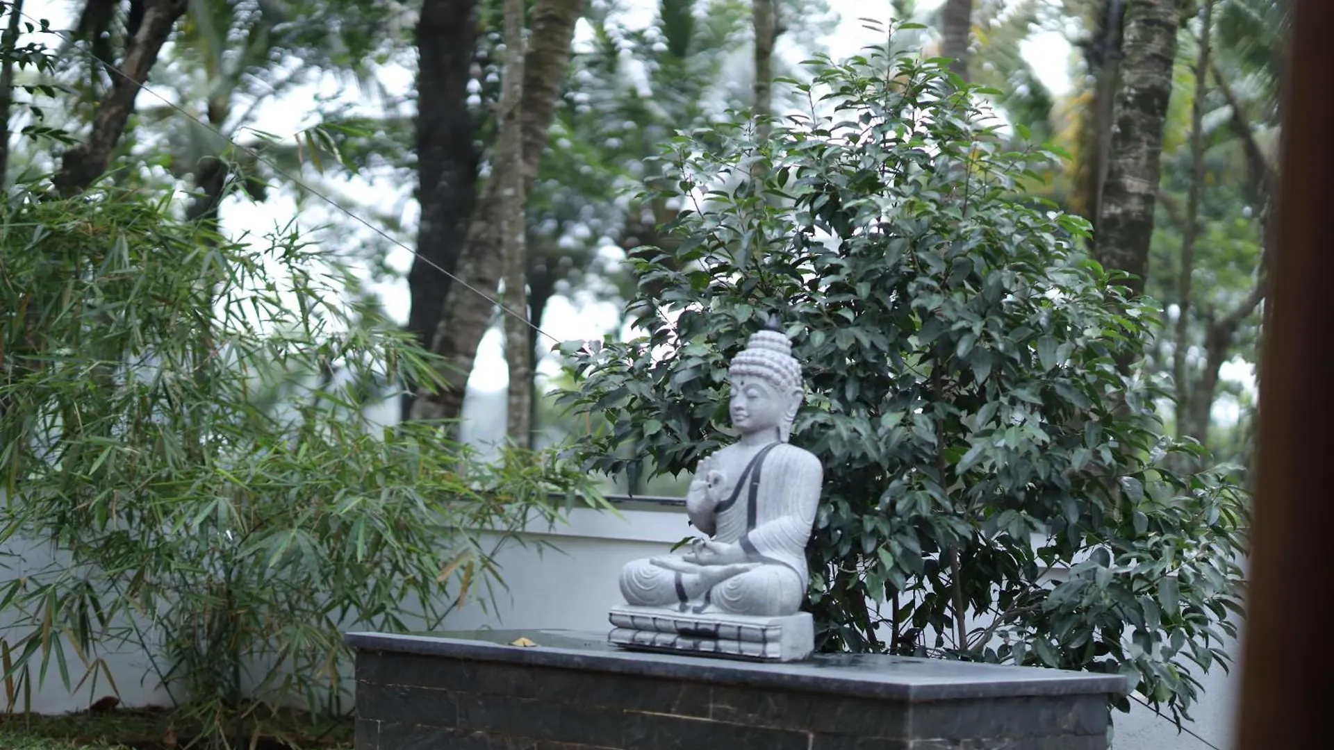 Luxury Earthy Homestay Mananthavady